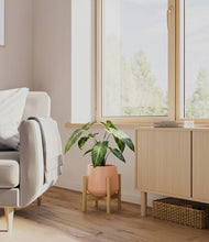 Load image into Gallery viewer, Calm Rose stand:bamboo
