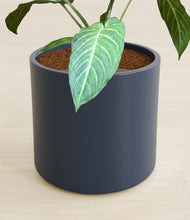 Load image into Gallery viewer, Deep Navy stand:all
