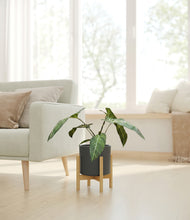 Load image into Gallery viewer, Dark Olive stand:bamboo

