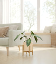 Load image into Gallery viewer, Cream stand:bamboo
