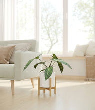 Load image into Gallery viewer, White stand:bamboo

