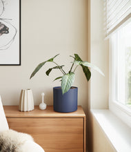 Load image into Gallery viewer, Deep Navy
