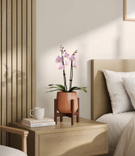 Load image into Gallery viewer, Calm Rose stand:walnut
