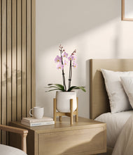 Load image into Gallery viewer, White stand:bamboo
