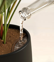 Load image into Gallery viewer, -
