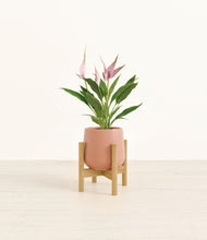 Load image into Gallery viewer, Calm Rose stand:bamboo
