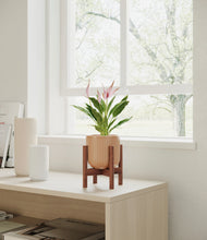 Load image into Gallery viewer, Striped Peach Pink stand:walnut
