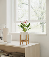 Load image into Gallery viewer, Cotton White stand:bamboo
