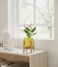 Load image into Gallery viewer, Key Lime Yellow stand:bamboo
