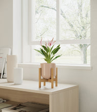 Load image into Gallery viewer, Sandy Pink stand:bamboo
