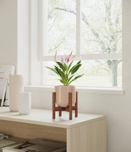 Load image into Gallery viewer, Sandy Pink stand:walnut
