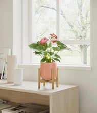 Load image into Gallery viewer, Calm Rose stand:bamboo
