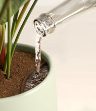 Load image into Gallery viewer, Soft Stone stand:all
