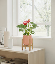 Load image into Gallery viewer, Calm Rose stand:bamboo
