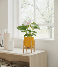 Load image into Gallery viewer, Mustard stand:bamboo
