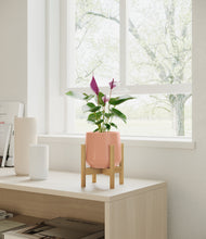 Load image into Gallery viewer, Calm Rose stand:bamboo
