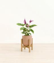 Load image into Gallery viewer, Striped Peach Pink stand:bamboo
