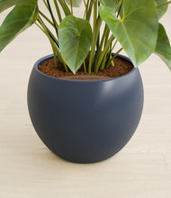 Load image into Gallery viewer, Deep Navy stand:all
