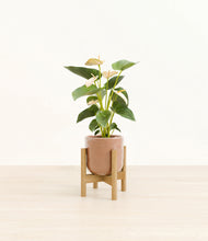Load image into Gallery viewer, Hammered Peach Pink stand:bamboo
