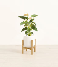 Load image into Gallery viewer, White stand:bamboo
