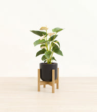 Load image into Gallery viewer, Stone Black stand:bamboo
