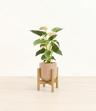 Load image into Gallery viewer, Glossy Pink stand:bamboo
