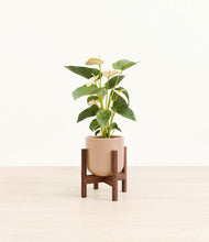 Load image into Gallery viewer, Glossy Pink stand:walnut
