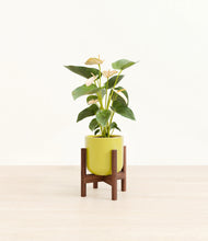 Load image into Gallery viewer, Key Lime Yellow stand:walnut
