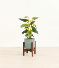 Load image into Gallery viewer, Reactive Aqua stand:walnut
