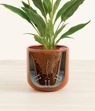 Load image into Gallery viewer, Glossy Red stand:all
