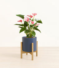 Load image into Gallery viewer, Deep Navy stand:bamboo
