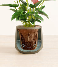 Load image into Gallery viewer, Olive stand:all
