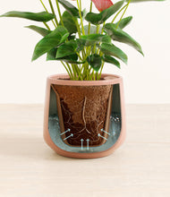 Load image into Gallery viewer, Calm Rose stand:all
