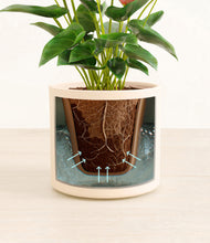 Load image into Gallery viewer, Cream stand:all
