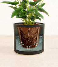 Load image into Gallery viewer, Black stand:all
