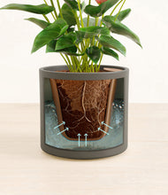 Load image into Gallery viewer, Dark Olive stand:all
