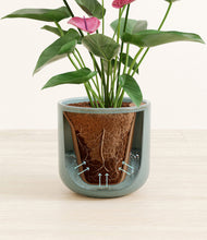 Load image into Gallery viewer, Reactive Aqua stand:all
