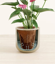 Load image into Gallery viewer, Sage Green stand:all
