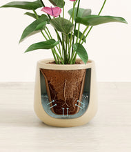 Load image into Gallery viewer, Almond Green stand:all
