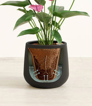 Load image into Gallery viewer, Black stand:all
