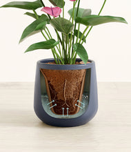 Load image into Gallery viewer, Deep Navy stand:all
