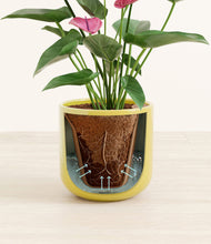 Load image into Gallery viewer, Key Lime Yellow stand:all
