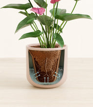 Load image into Gallery viewer, Sandy Pink stand:all
