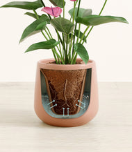 Load image into Gallery viewer, Calm Rose stand:all
