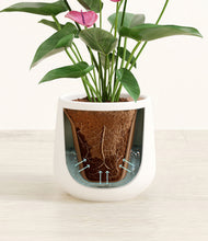 Load image into Gallery viewer, White stand:all
