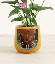 Load image into Gallery viewer, Mustard stand:all
