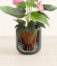 Load image into Gallery viewer, Iron Gray stand:all
