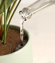 Load image into Gallery viewer, Turquoise stand:all
