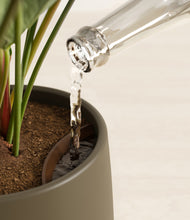 Load image into Gallery viewer, Olive stand:all
