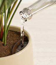 Load image into Gallery viewer, Evening Sky stand:all
